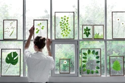 Moebe Rahmen Frame, Holz Outlet