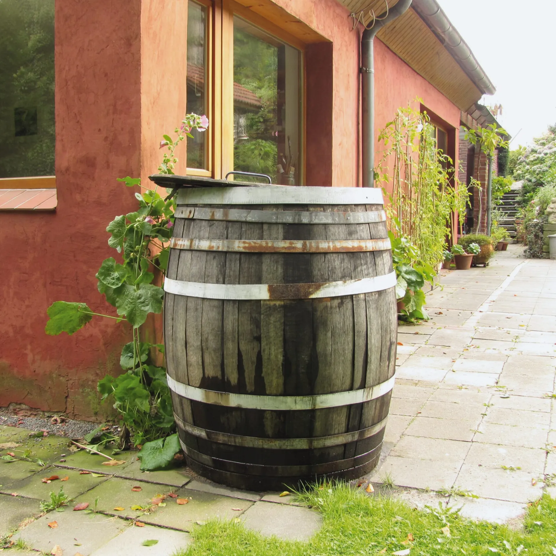 Wilhelm Eder Regenfass Eichenholz New