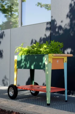 Herstera Garden Rollbares Hochbeet für Kinder Outlet