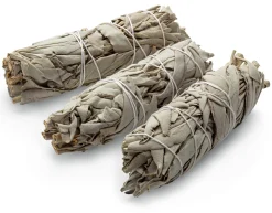 Sensatonics Räucherbündel Mini Weißer Salbei Clearance