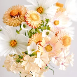 Jora Dahl Saatgutkollektion für Blumensträuße Outlet