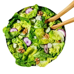 Salatschleuder Rotor 2.0 Outlet