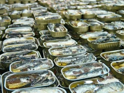 NURI Sardinen in scharfem Olivenöl Outlet