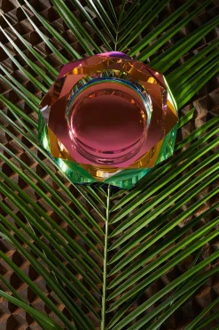 Fundamental Berlin Schale Regenbogen Online