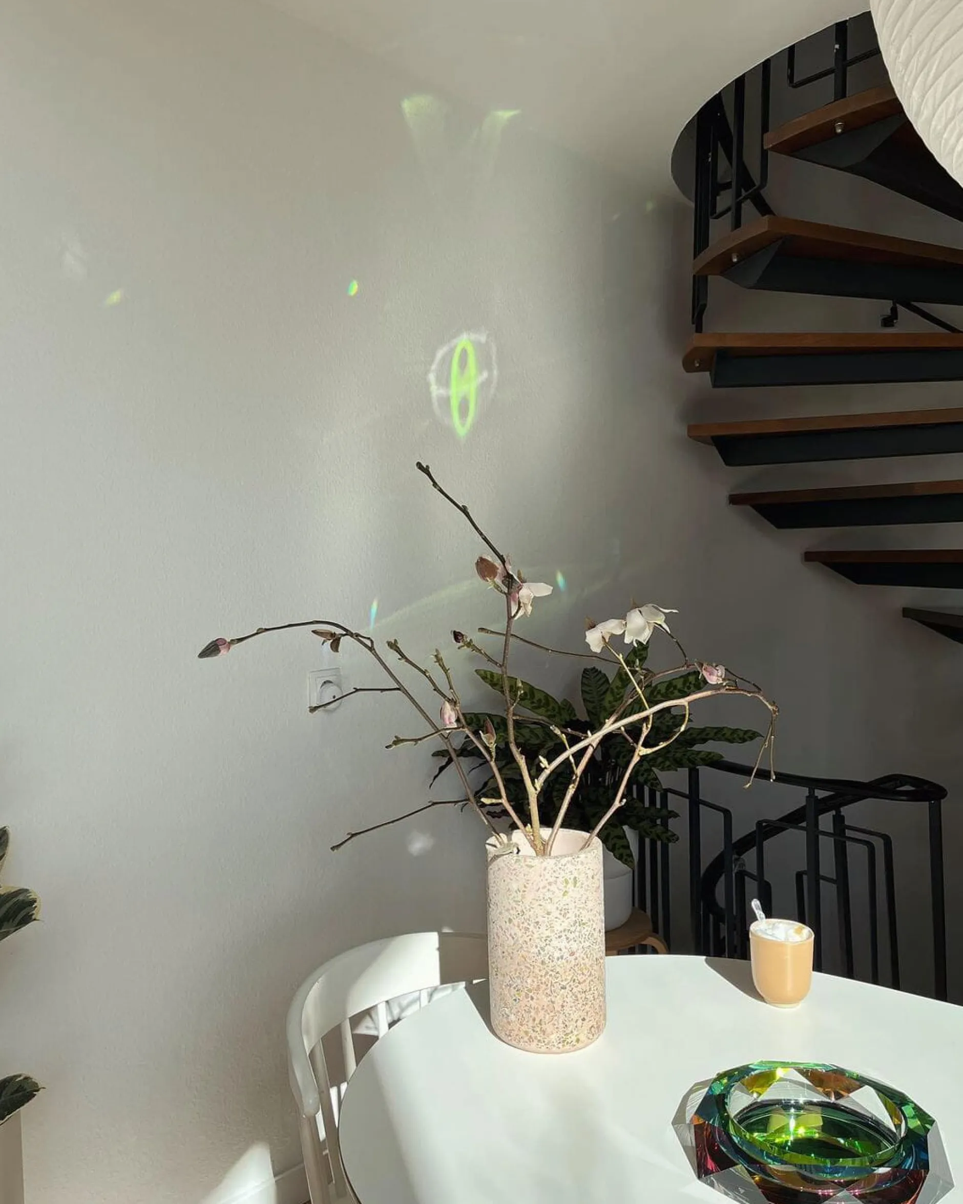 Fundamental Berlin Schale Regenbogen Best