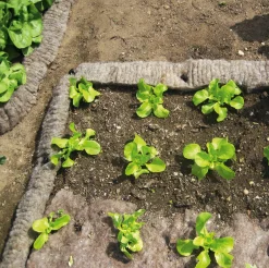 Tobias Tumfart Schneckenbarriere Schafwolle Discount