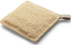 Iberica de Esponjas Vegetales Schwamm Luffa