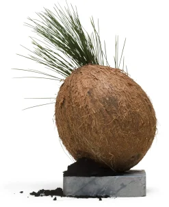 therefore beauty Seifenblock tob Outlet