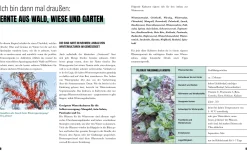 Löwenzahn Verlag Selbstversorgung im Winter Hot