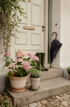 Bergs Potter Simona Pflanztopf mit Untersetzer Discount