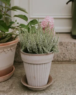 Bergs Potter Simona Pflanztopf mit Untersetzer Discount