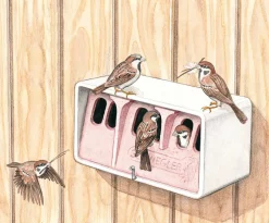 Schwegler Vogel- u. Naturschutzprodukte Sperlingskoloniehaus Holzbeton Best