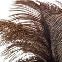 Manufactum Staubwedel Straußenfeder kurz Discount