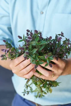 Market Grounds Summerdown Crisps Discount