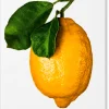 TASCHEN The Gourmand's Lemon New