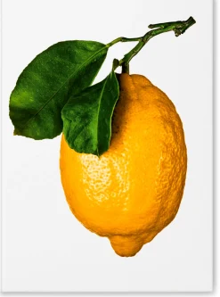 TASCHEN The Gourmand's Lemon New