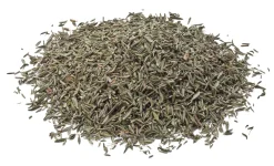 Manufactum Thymian New