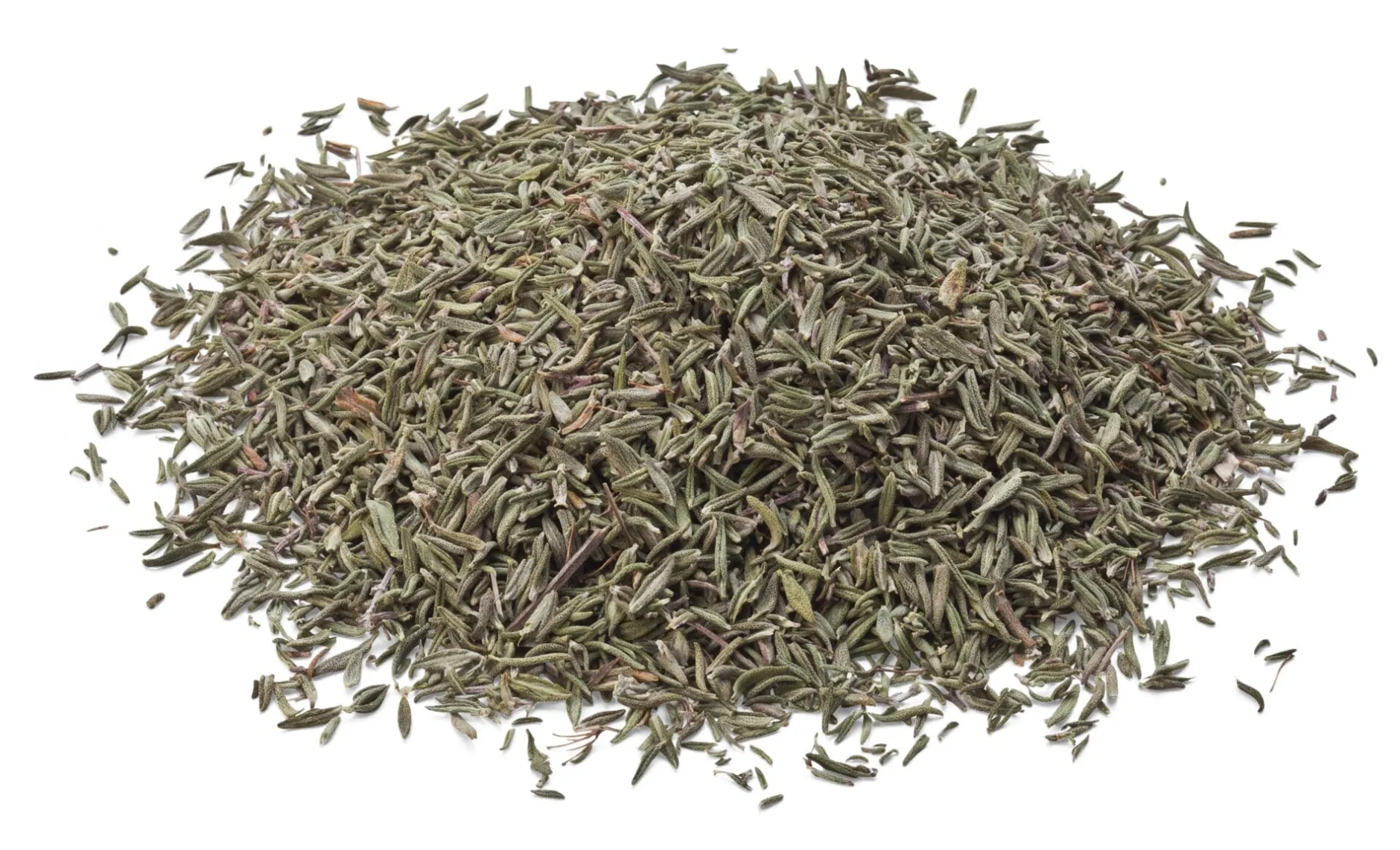 Manufactum Thymian New