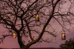 Sonnenglas Tischleuchte ® Best