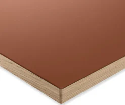 Tischplatte zu Tischgestell ERIK, rechteckig Hot