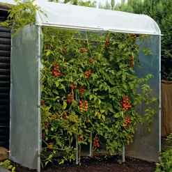 Brühwiler Maschinen Tomatenhaus Stahlrahmen Sale