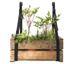 Bacsac Tragegurt Balkonkiste New