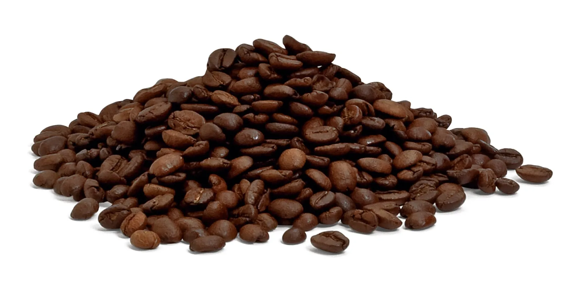 Trinci Torrefazione di Caffè Trinci Espresso ganze Bohne Outlet