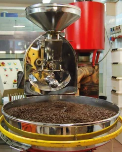 Trinci Torrefazione di Caffè Trinci Espresso ganze Bohne Outlet