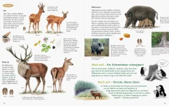 Wawra Verlag Unserer Natur auf der Spur Clearance