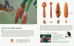 Wawra Verlag Unserer Natur auf der Spur Clearance