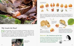Wawra Verlag Unserer Natur auf der Spur Clearance