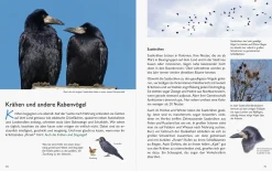 Wawra Verlag Unserer Natur auf der Spur Clearance