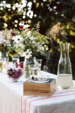 VapoWesp Räucherbox zur Wespenvertreibung Hot