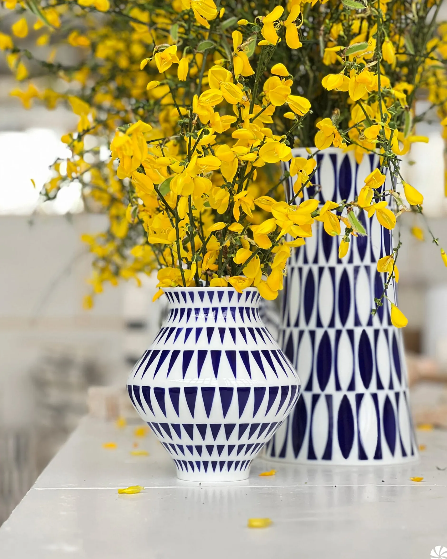 Sargadelos Vase Amboa Bónxica Clearance