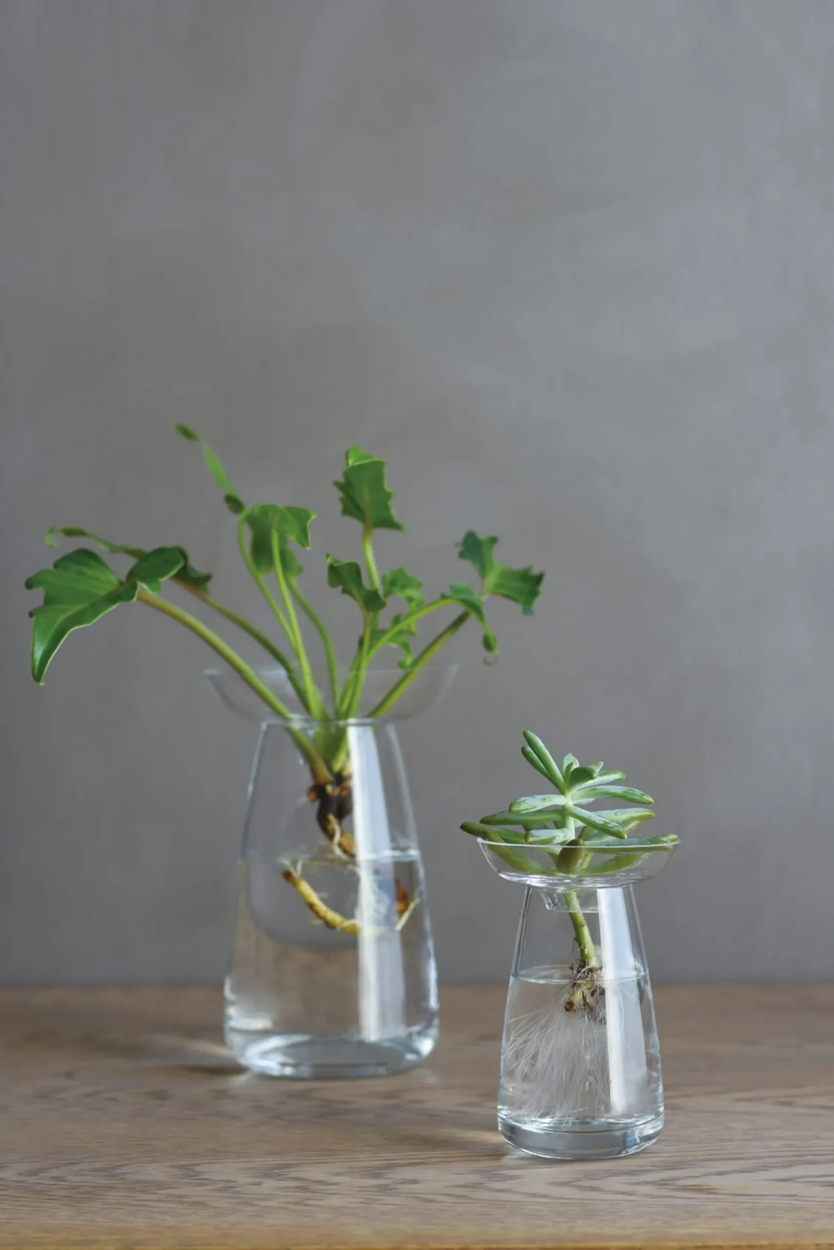 Kinto Vase Aqua, klein Best