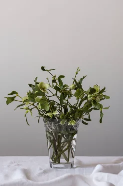 Bergs Potter Vase Københavner Discount