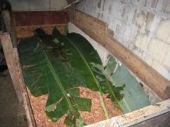 Willie’s Cacao Venezuelan Rio Caribe 72% Schokolade Hot