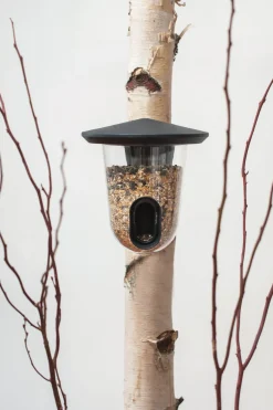 Vogelfutterspender FeedR Sale