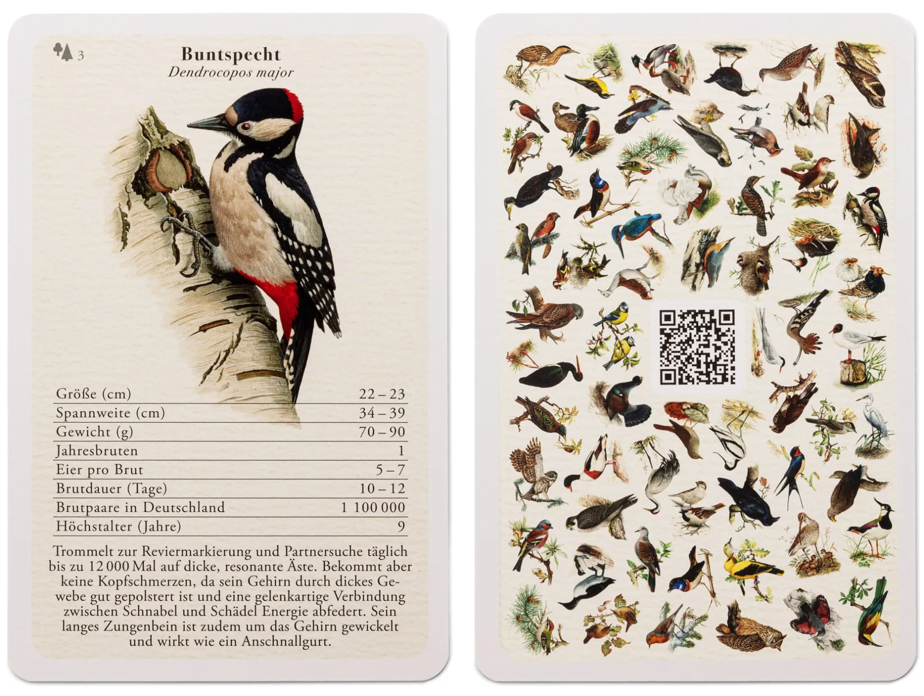 Dominik Eulberg Vogelquartett mit Vogelstimmen Discount