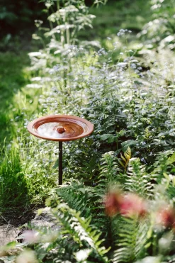 Karl Louis Lehmann Vogeltränke auf Stab Discount