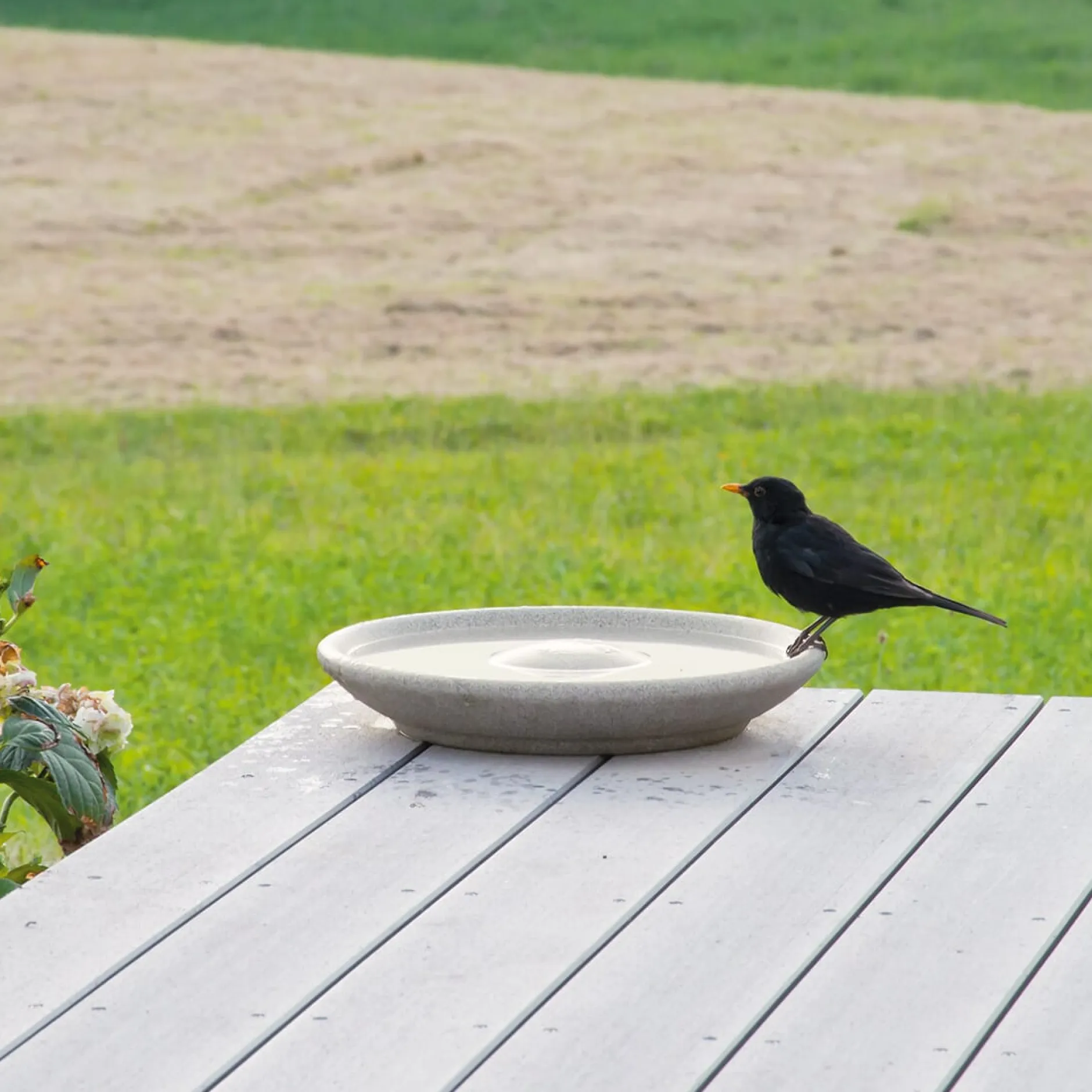 Denk Keramische Werkstätten Vogeltränke Granitkeramik Outlet