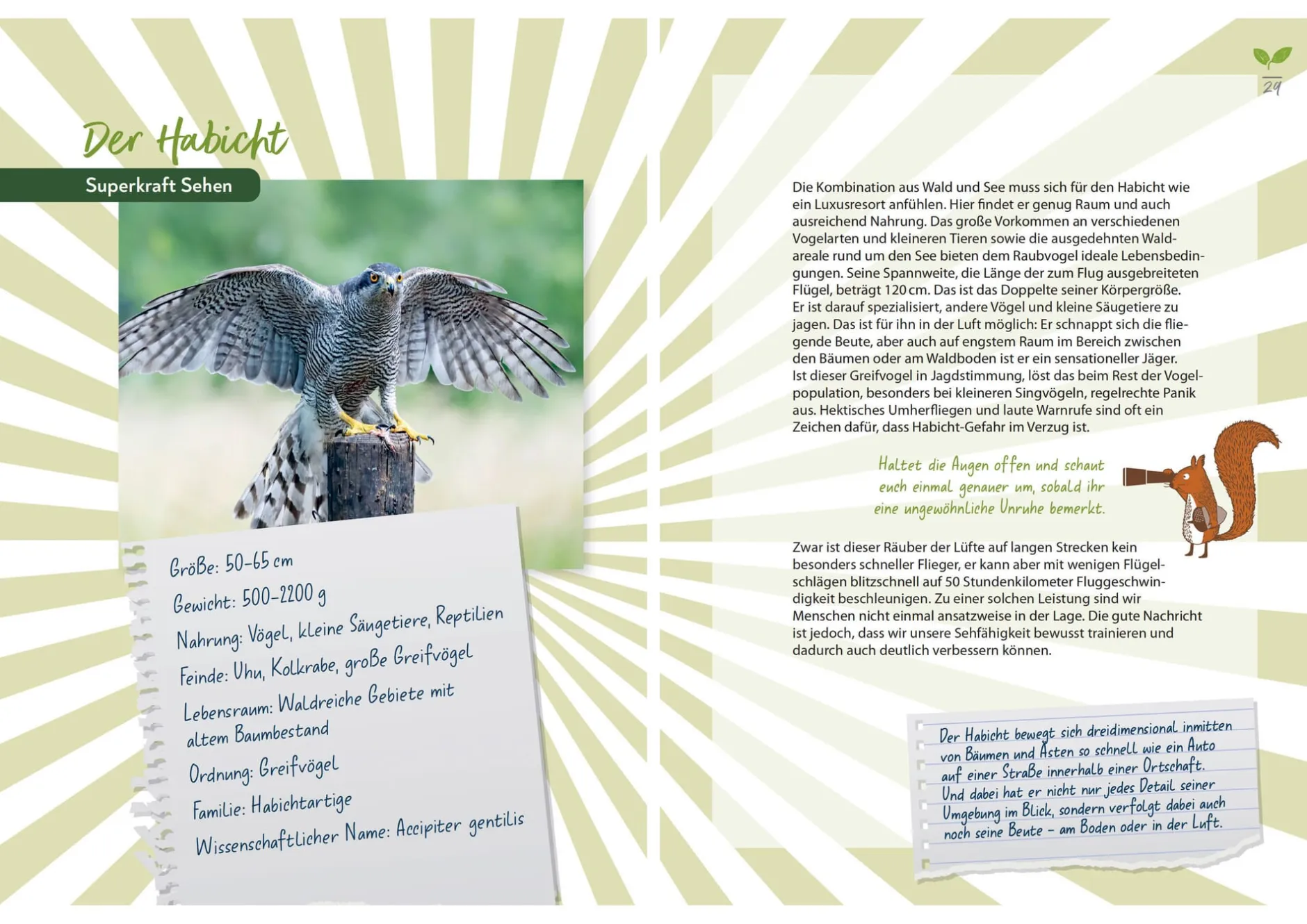 Bassermann Verlag Waldabenteuer für die ganze Familie Clearance