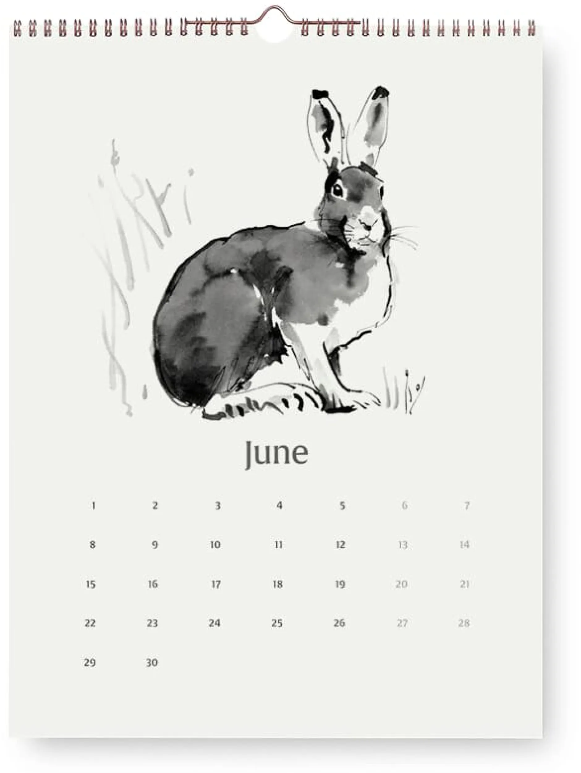 Teemu Järvi Illustrations Wandkalender Teemu Järvi Discount