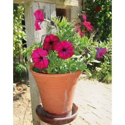 Manufactum Wandtopf Terrakotta New