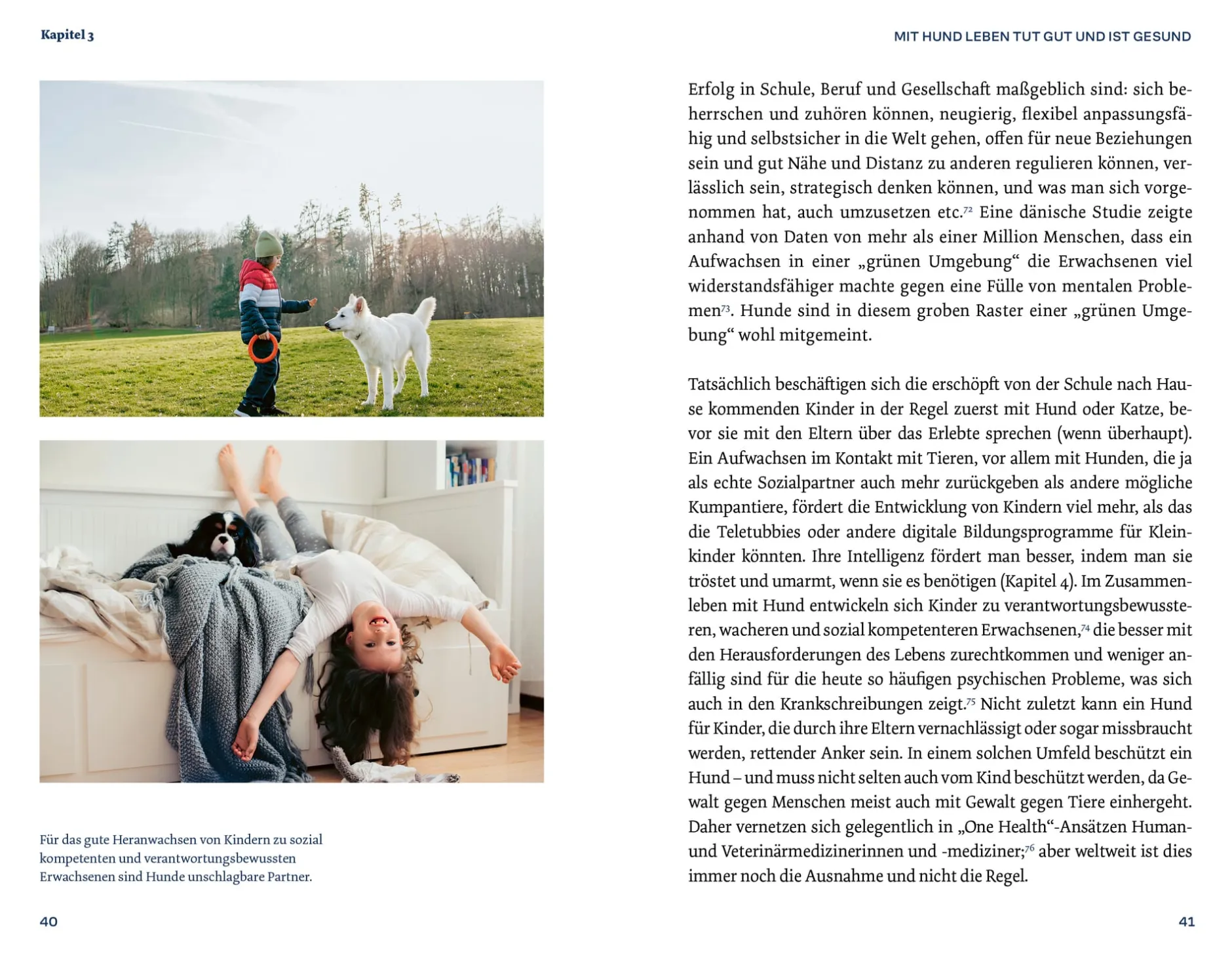 Christian Brandstätter Verlag Warum Hunde uns zu besseren Menschen machen Sale