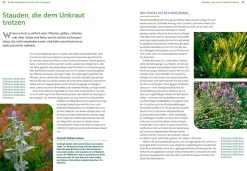 Ulmer Verlag Wächst nicht gibt's nicht Online