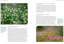 Ulmer Verlag Wächst nicht gibt's nicht Online