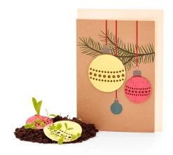 Die Stadtgärtner Weihnachtskarten mit Wildblumensamen Online