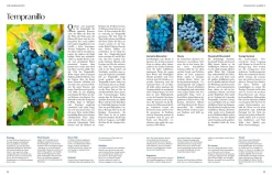 ZS - ein Verlag der Edel Verlagsgruppe Wein – Die große Schule New