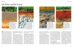 ZS - ein Verlag der Edel Verlagsgruppe Wein – Die große Schule New